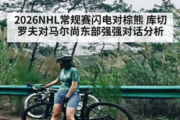 2026NHL常规赛闪电对棕熊 库切罗夫对马尔尚东部强强对话分析